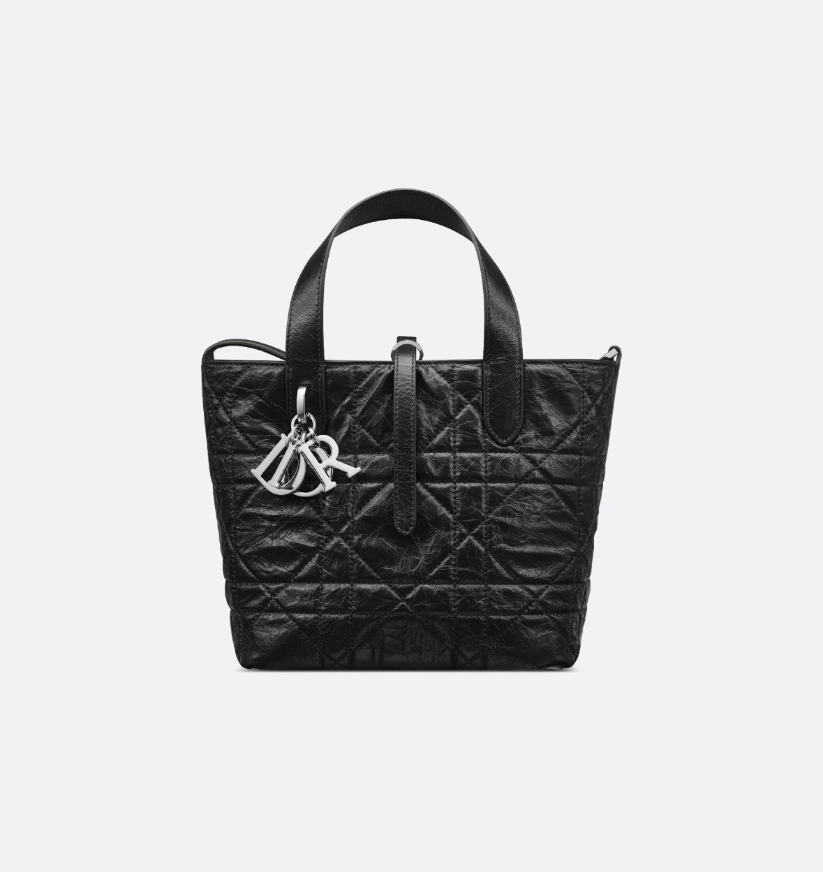 dior toujours small vertical tote handbag